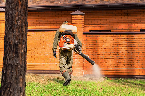 Bed Bug Clearance Verification and Documentation in Lauderdale Lakes